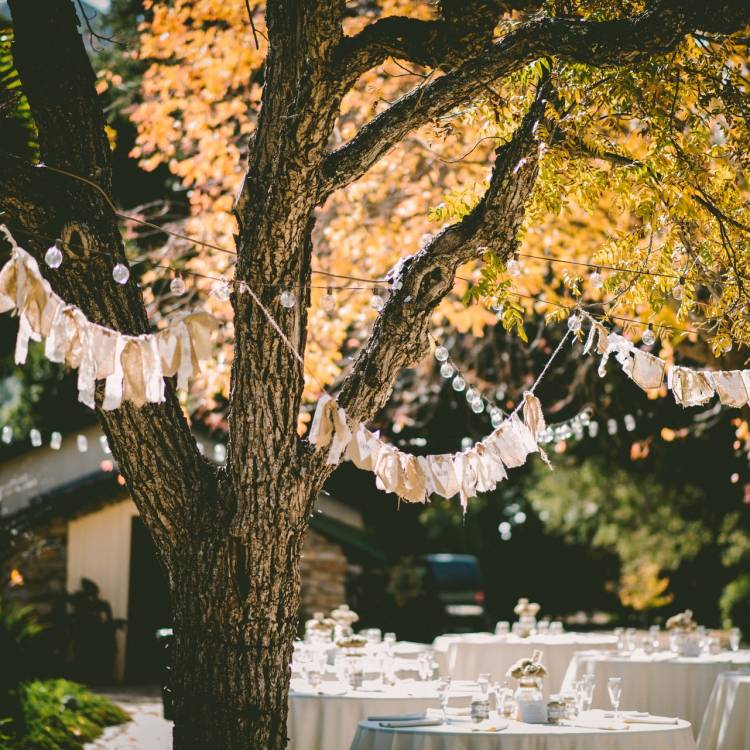 Discovering the Advantages of Having a Marquee Wedding 