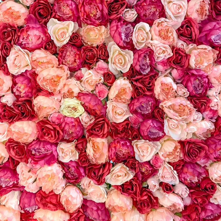 How the Power of a Flower Wall Creates a Wow Factor