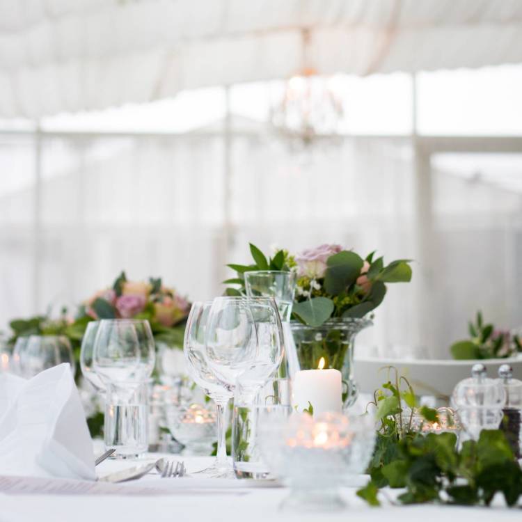 Crafting Your Dream Event Space: A Definitive Guide to Marquee Selection