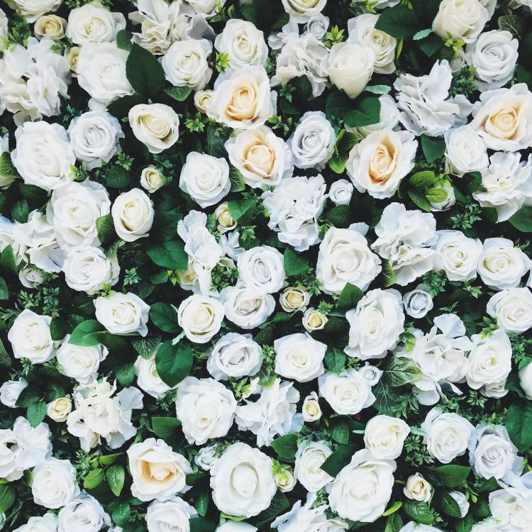 Why You Should Have a Flower Wall for Your Next Events