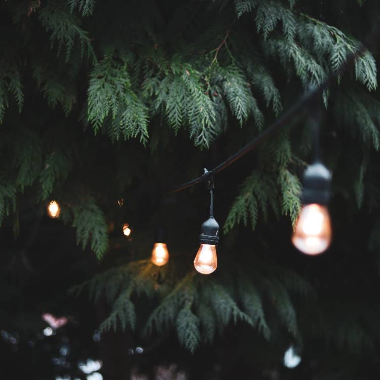 Everything That You Need to Know about Festoon Lights